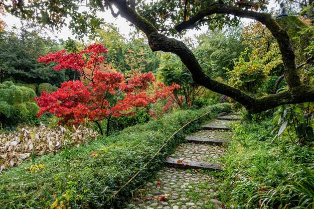 Le Jardin Zen